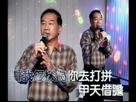 洪大哥-甲天借膽