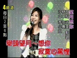 文麗-望月想你