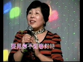 盧姐-流星的戀歌